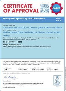 CARES - BS EN ISO 9001
